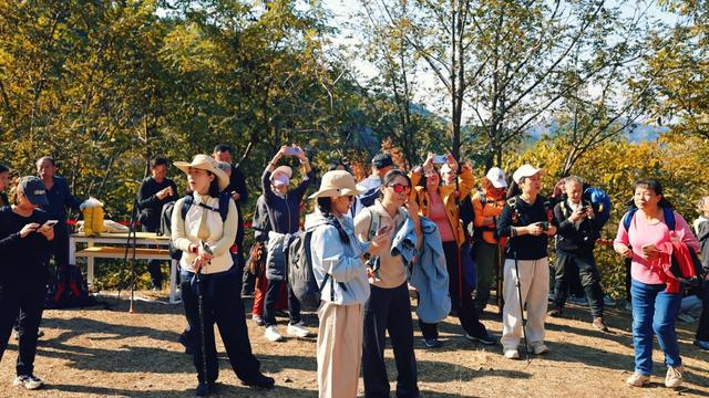 崂山这棵古树红了，非周末时间都人山人海！网友：长得像菜花
