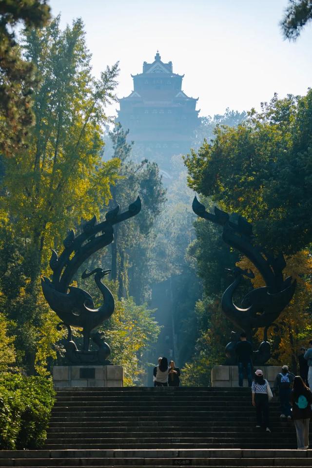 东湖秋日图鉴③｜磨山秋笺：一叶一诗，帧帧藏秋韵