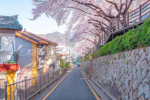 皇家加勒比发布“海洋光谱号”最新航线，解锁韩国丽水新目的地