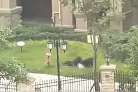 在广州养狗，这些事情你必须知道图片