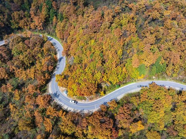 保康：彩林入画醉横冲 层林尽处听风吟