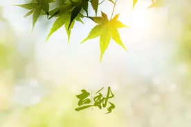 “立秋吃3白，一年病不来”！一吃补肺、二吃清心、三吃养血，补遍五脏，全家安康图片