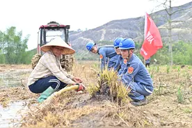 广西多地持续干旱 供电部门积极抗旱保电图片