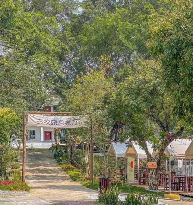 藏不住了！新会人身边的“欢乐农场”！