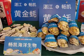 现代化海洋牧场加持，广东争办“蚝”门盛宴图片