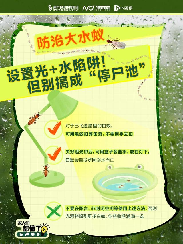 头皮发麻！不少广东人家里突现大量飞虫，紧急提醒