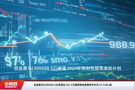 创业黑马(300688.SZ)拟授出162.5万股限制性股票授予价为13.72元/股视频封面