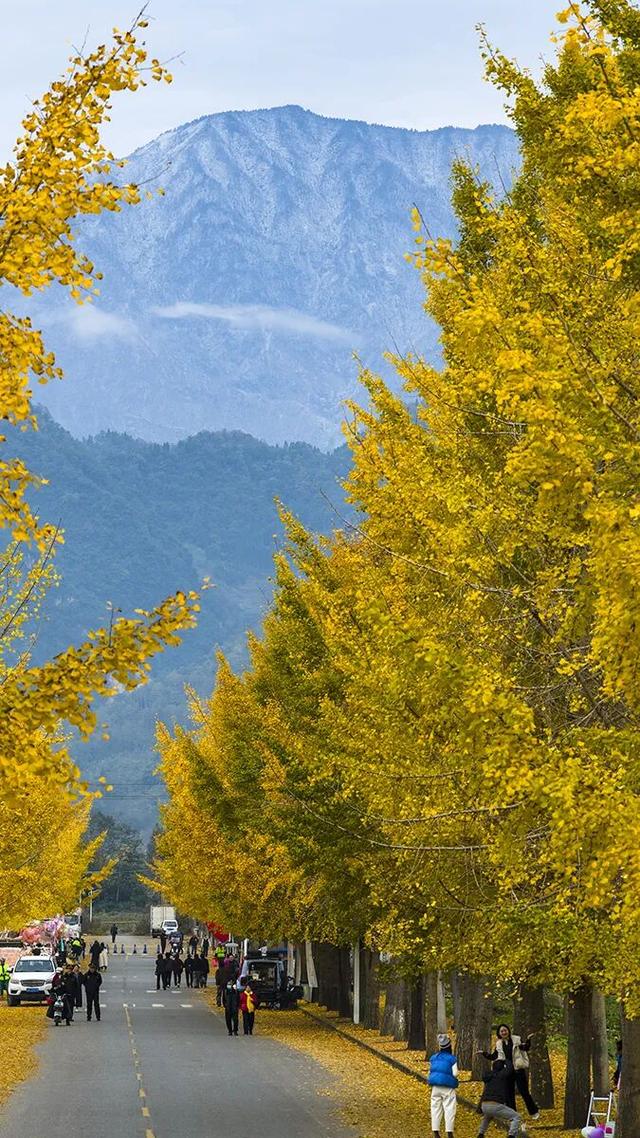 别再瞎找了！这张“黄金版图”全是惊喜