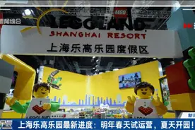 上海乐高乐园传来新消息！旁边在下一盘商业大棋！主入口须经过Ta图片