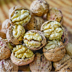 漾濞是“世界核桃起源地”！有五个维度可为证……