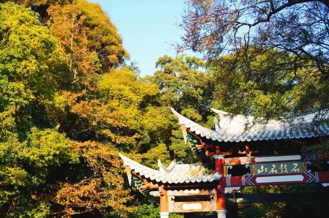 鼓山“枫”景太美啦！详细打卡点位戳→