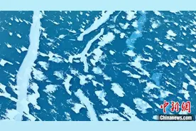 新疆昭苏：玉湖现“冰莲花”奇观图片