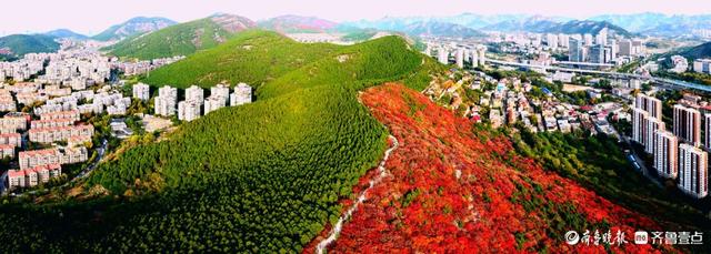 济南蝎子山，深秋 “鸳鸯火锅”景如画