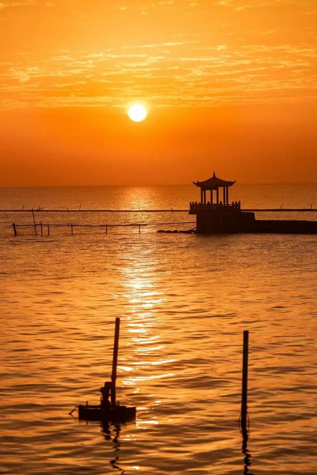 藏不住了！看一眼就“沦陷”！