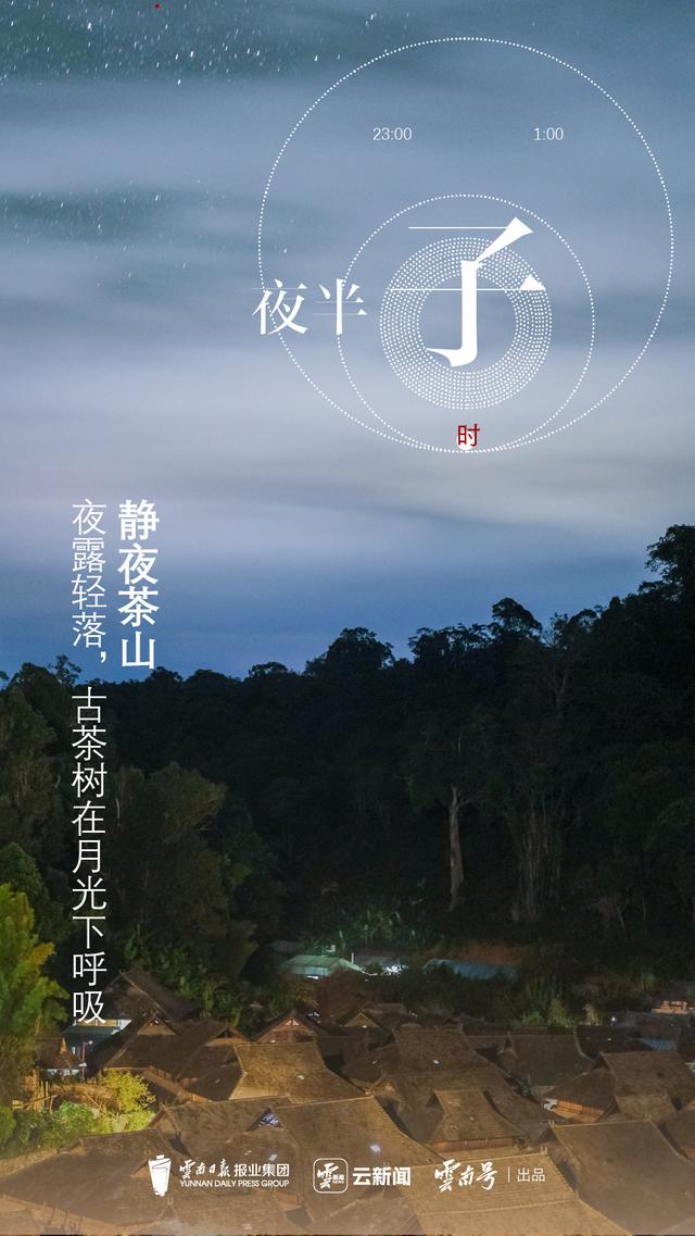 云新闻策划丨景迈山十二时辰：山中无历，茶语为时