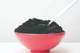 人真的会吃土吗？图片