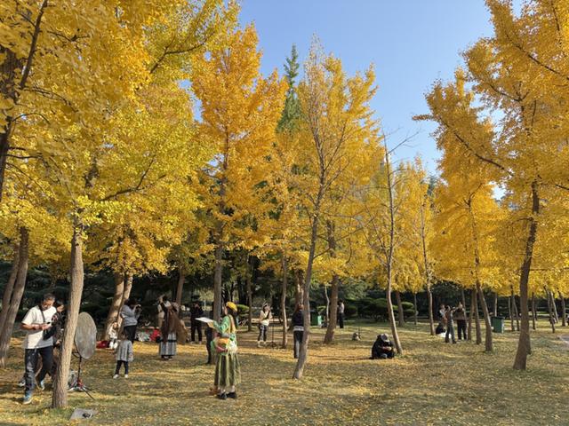 在济南坐着地铁能直达哪些公园？攻略来啦！