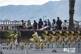 骑行赏鸥成新风尚！昆明共享电单车配暖手套带你邂逅“春城精灵”图片