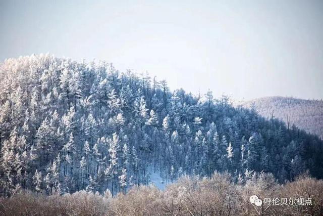 雪原递柬！呼伦贝尔大草原北京招商推介会将于11日在北京展览馆启幕