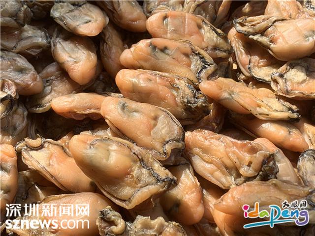 花胶蚝干汤 2026年花胶干贝煲汤的做法大全
