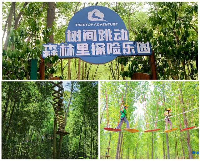 请查收美图！这么美的奉贤，你见过吗？