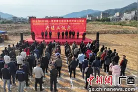 广西兴业县举行一季度重大项目开竣工活动图片