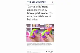 韩国中小学也流行萝卜刀，它为何让小学生如此痴迷？图片