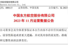 东方航空：2023 年11月旅客周转量同比上升 334.52%图片