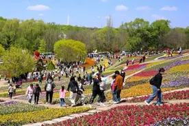 免票、特价！出游，没有比辽宁更合适的啦图片