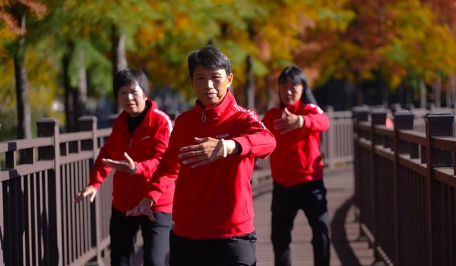 栈道穿红杉，候鸟掠湖面！大理这片湿地美成初冬油画