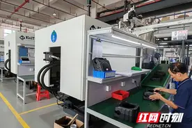 跑出“加速度” 干出“新高度”——解码新宁县域经济高质量发展背后的澎湃动力图片