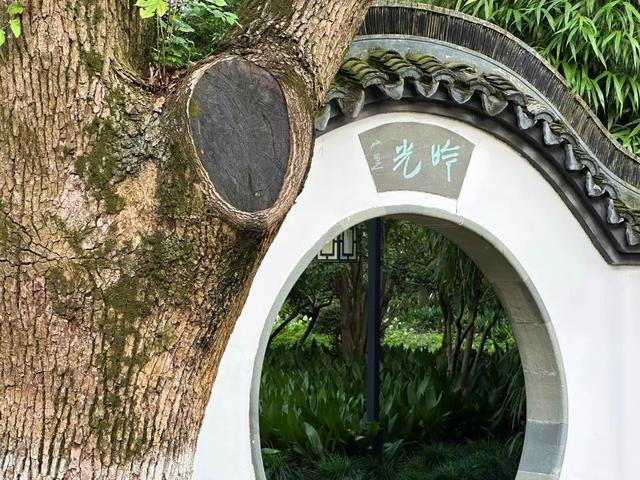 粉墙、黛瓦、古亭、老树……闵行这里很闲适