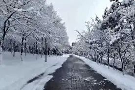 热雪沸腾｜静风，最好的滑雪体验在吉林图片