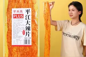 直播间里爆火的辣条，三分之一产自湖南这个县城图片