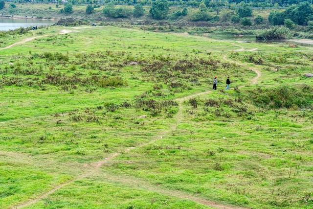 秋游白沙河草甸