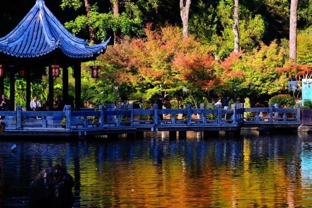 红墙+银杏已就位，本周拍照打卡攻略出炉！