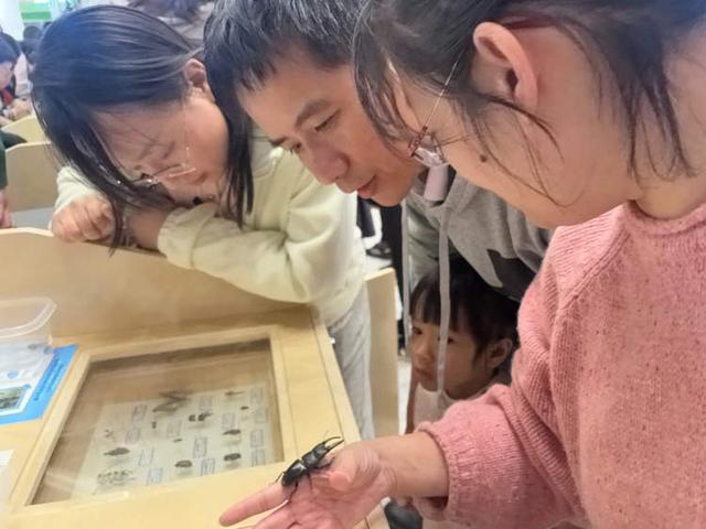 上海自然博物馆“奇妙夜”来啦！生物多样性新展开幕、听音乐会、逛非遗集市……博物馆入夜更精彩