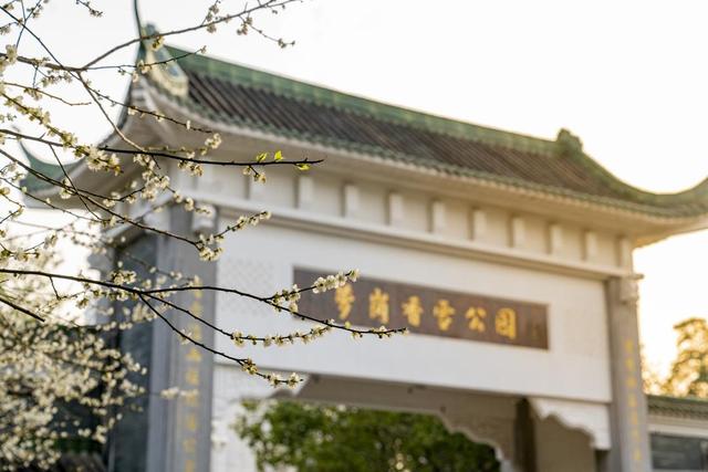 2025年“萝岗香雪”梅花集中开放期预测新鲜出炉