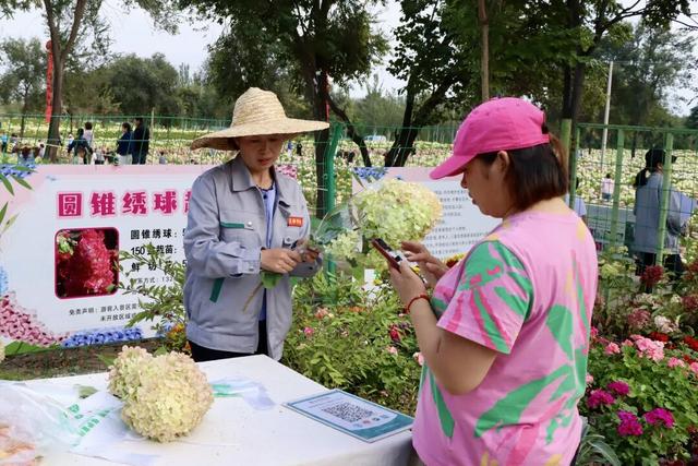 美爆了！延庆这儿的“花海”可以带回家——