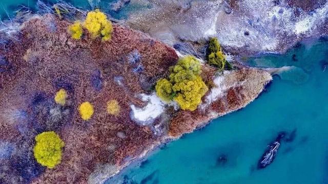 还有谁不知道，逛洛阳真的不用花钱