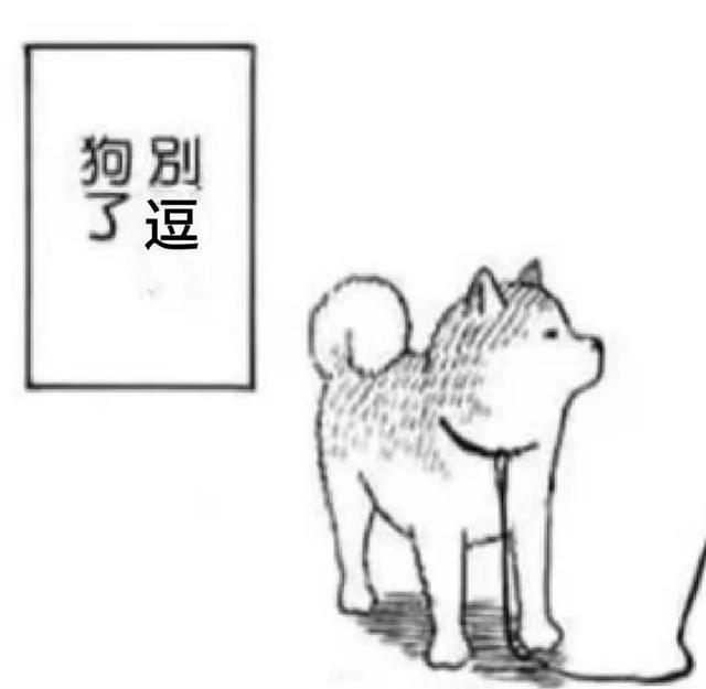 什么？狂犬病的头号元凶不是狗？最要警惕的动物竟然是它→