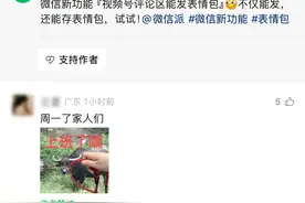 微信新功能上线！网友：斗起来，我没输过！图片