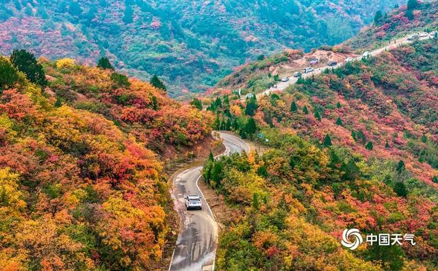 重阳节：登高望远 尽览万山秋色