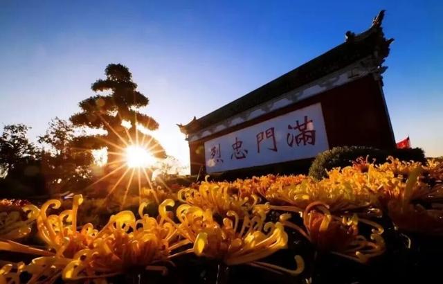 建议收藏！开封菊花文化节6大赏菊线路“出炉”→