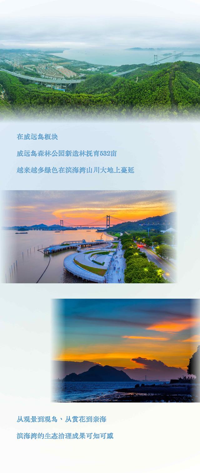 长图｜全国生态日，一同感受滨海湾近在咫尺的生态脉动