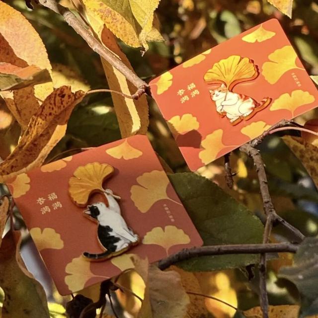 绝美！北京秋季颜值已达巅峰！这样定格最美秋天！