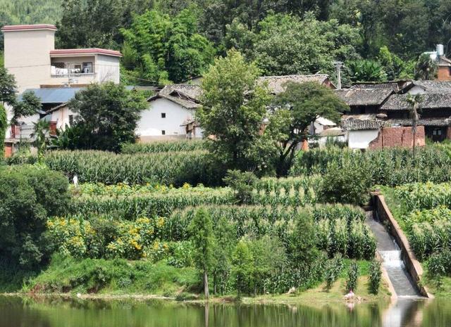 自在嵩明丨层峦碧水、林间野趣、美食垂钓……近郊旅行就来杨桥西山大村子