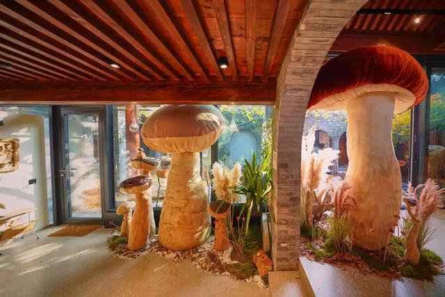 来东城这个胡同小院，邂逅蘑菇精灵的童话秘境——