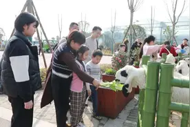 湖南常德野生动物世界：喜迎龙年开门红图片