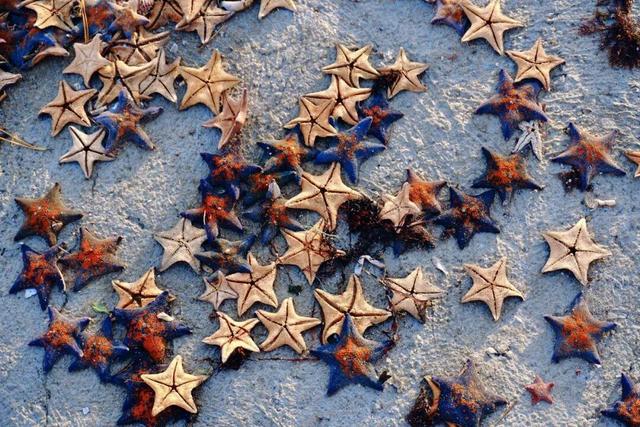 “鸥”遇环翠 “雪”舞浪漫丨威海这个地方，来一百次也不会腻